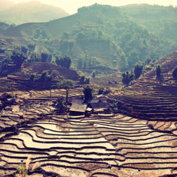 Sapa